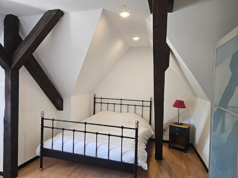 Appartement Le IV à Sigolsheim Extérieur photo
